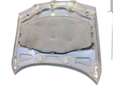Foto 2ª: Capot Bmw X3 3.0 D [M57 D30 (306D2)] (2003)