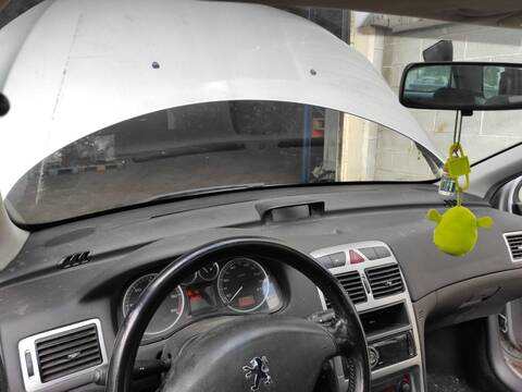 Salpicadero Peugeot 307 9HY