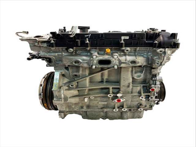 Motor Completo Ford Focus 250CV 184KW