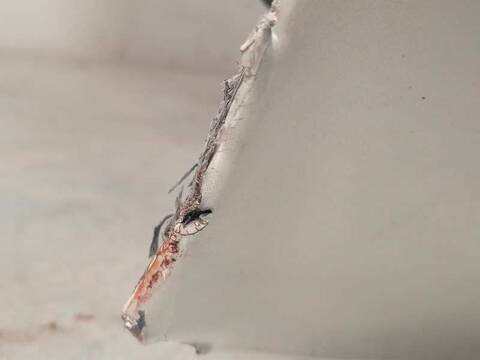 Foto 4ª: Portón Peugeot 3008 GT LINE 181CV 133KW [5G06] (2020)