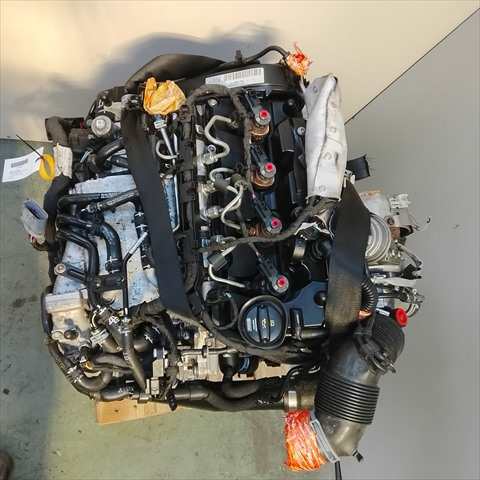 Foto 3ª: Motor Completo Volkswagen Golf 1.6 TDI 115CV [DGT] (2019)