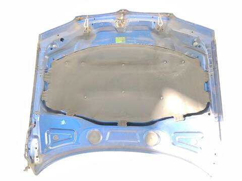 Foto 2ª: Capot Bmw X3 3.0 D [M57 D30 (306D3)] (2003)