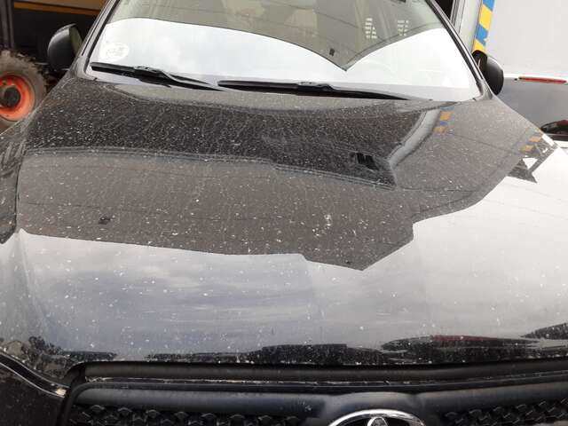 Foto 2ª: Capot Toyota Rav4 2.2 D4D 136-150CV [2AD-FTV] (2006)