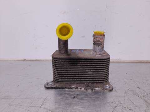 Foto 3ª: Radiador Aceite Ford Focus AMBIENTE BERLINA 90CV 66KW [C9DB] (2001)