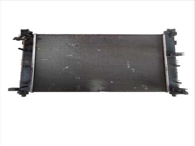 Foto 3ª: Radiador Motor Dacia Lodgy 1.5 DCI (2012)