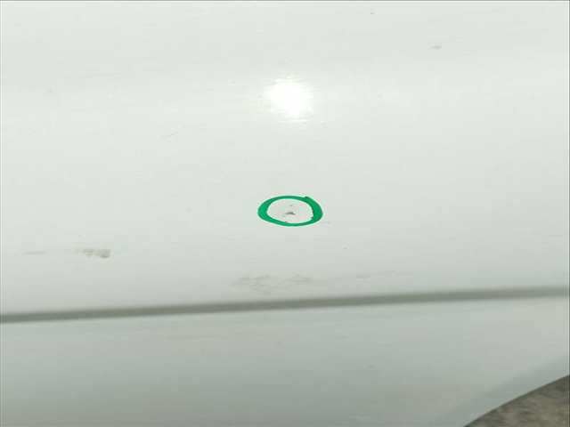 Foto 4ª: Puerta Delantera Derecha Renault Trafic 6 - PLAZAS ACRISTALADO PARCIAL COMBI CORTO 90CV 66KW [M9R780] (2010)