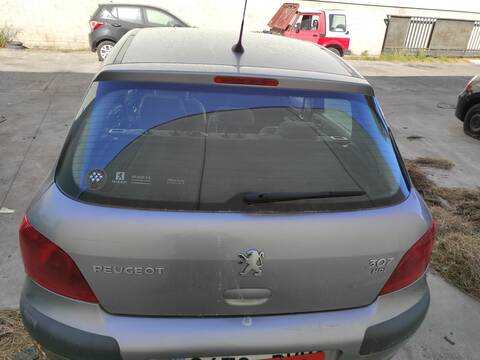 Portón Peugeot 307 RHY