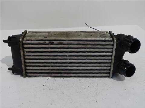 Intercooler Peugeot Partner 1.6 BLUE HDI 120