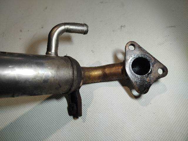 Foto 3ª: Enfriador Gases Nissan Patrol 3.0 D GR Y61 5P GU4 [ZD30 EURO4] (2008)