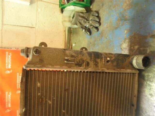 Foto 3ª: Radiador Motor Ford Focus 1.6 16V [FYDB]