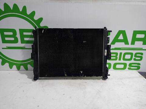 Foto 3ª: Radiador Motor Renault Scenic 1.9 DCI DIESEL 131CV [F9Q818] (2003)