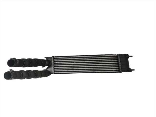 Foto 2ª: Intercooler Citroen Berlingo 1.6 HDI 75 FURGONETA (2008)