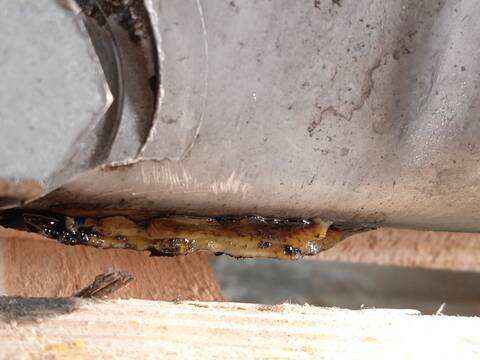 Foto 3ª: Despiece Motor Seat Toledo 1.9 TDI 150CV 110KW [ARL] (2002)