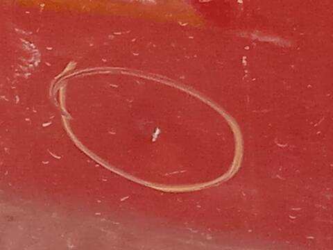 Foto 4ª: Puerta Delantera Derecha Bmw Serie 3 318 2.0 D 150CV 110KW F34) GRAN TURISMO B47D20 [N47D20C] (2014)