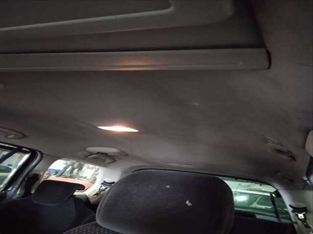 Techo Interior Citroen C4 2.0 HDI FAP CAT RHR - DW10BTED4) PICASSO 136CV 100KW