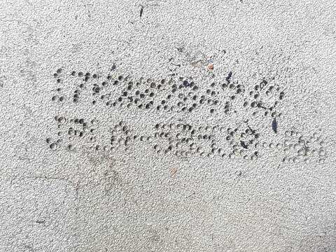 Foto 3ª: Brazo Suspension Trasero Derecho Land Rover Range SE 113CV 83KW (2014)