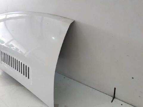 Foto 2ª: Capot Citroen Jumper 3.0 HDI FAP CAT 157CV 116KW CAJA CERRADA [F1CE0481D (F30DT)] (2009)