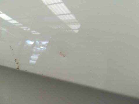 Foto 2ª: Puerta Trasera Izquierda Peugeot 308 PREMIUM 140CV 103KW [RHE] (2011)