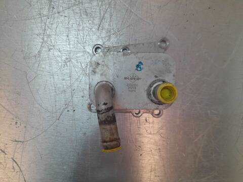 Foto 4ª: Radiador Aceite Ford Focus AMBIENTE BERLINA 90CV 66KW [C9DB] (2002)