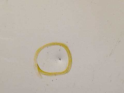 Foto 3ª: Capot Peugeot Boxer 2.0 BLUEHDI 130 130CV 96KW FURGONETA [AH03] (2019)