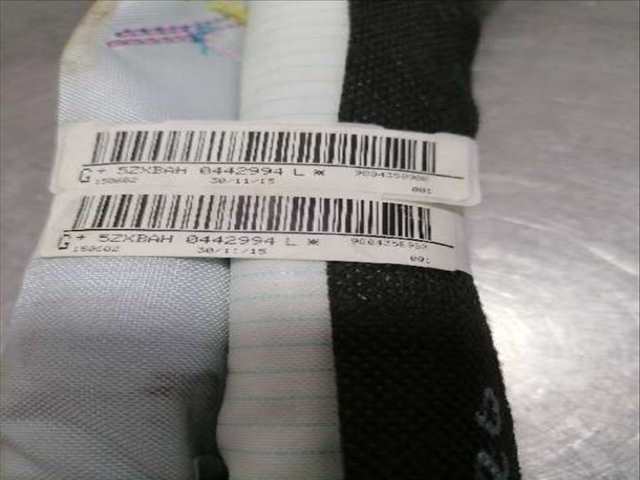 Airbag Cortina Delantero Izquierdo Citroen C4 VERSION INDEFINIDA