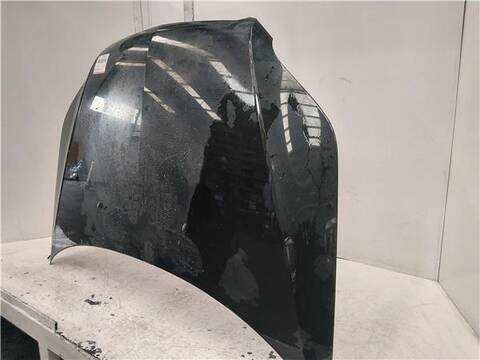 Foto 3ª: Capot Chevrolet Aveo 1.4 LS BERLINA 101CV 74KW [F14D4] (2010)