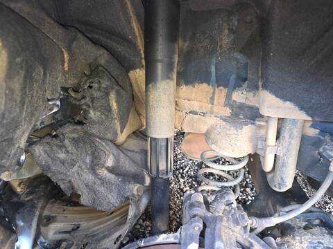 Amortiguador Trasero Derecho Seat Leon DDYA