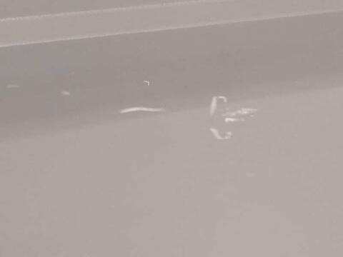 Foto 4ª: Cuadro de Instrumentos Renault Clio ZEN 101CV 74KW [H4D450] (2019)