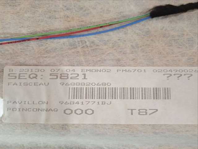 Foto 3ª: Techo Interior Peugeot 5008 SPORT PACK 150CV 110KW [RH02] (2010)