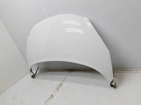 Foto 4ª: Capot Peugeot 207 1.4 HDI 68CV 50KW [8HZ] (2010)