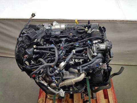 Motor Completo Ford Transit TREND