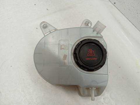 Deposito Expansion Volkswagen Golf 2.0 TDI 116CV 85KW