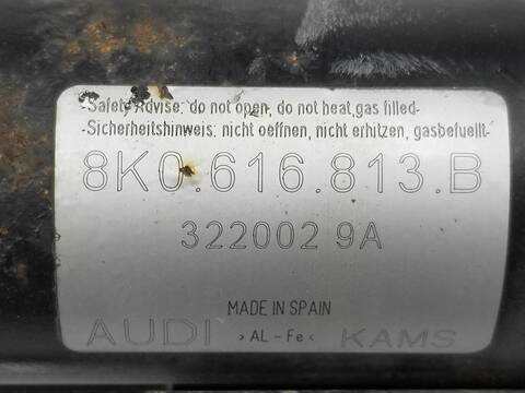 Foto 2ª: Bomba de Suspension Audi RS5 4.2 V8 32V FSI 450CV [CFS] (2012)