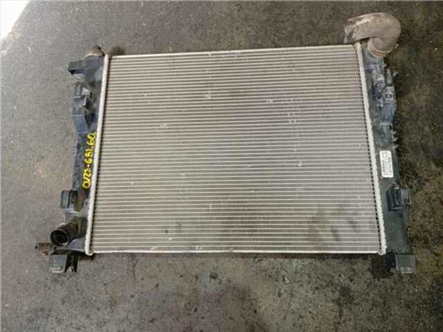 Foto 2ª: Radiador Motor Renault Clio 1.2 AUTHENTIQUE [1.2 LTR. - 54 KW 16V] [D4FD740]