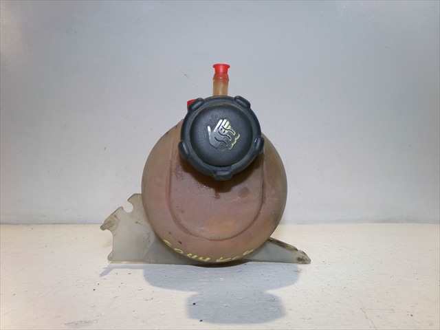 Foto 4ª: Deposito Expansion Renault Kangoo 1.9 DCI 4X4, 2003-2008 [F9Q37] (2004)