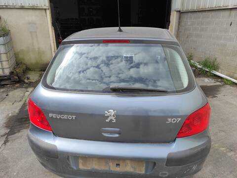 Portón Peugeot 307 NFU BERLINA