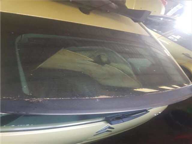 Foto 2ª: Portón Citroen C4 1.6 HDI [9HX (DV6ATED4)]