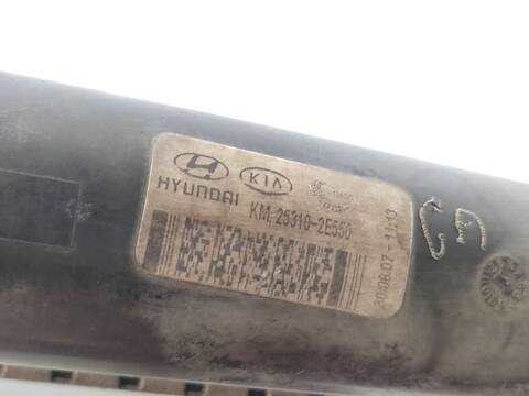 Foto 3ª: Radiador Motor Kia Sportage 2.0 CRDI 140CV 103KW [D4EA] (2008)