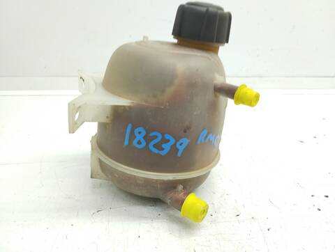 Foto 3ª: Deposito Expansion Renault Scenic 1.9 DCI AUTHENTIQUE 102CV 75KW JA..) [F9Q K7] (2001)