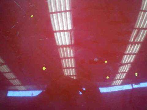 Foto 3ª: Techo Chapa - Fibra Peugeot 307 BASICO 136CV 100KW [RHR(DW10BTED4)] (2005)