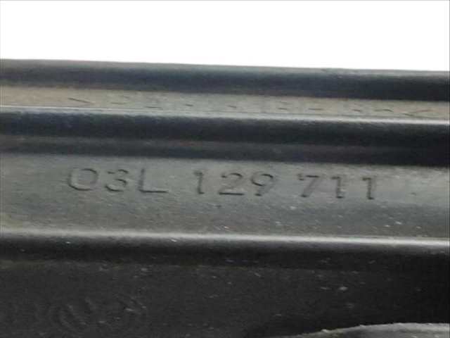 Foto 3ª: Colector Admisión Volkswagen Golf 1.6 TDI 105CV (2008)