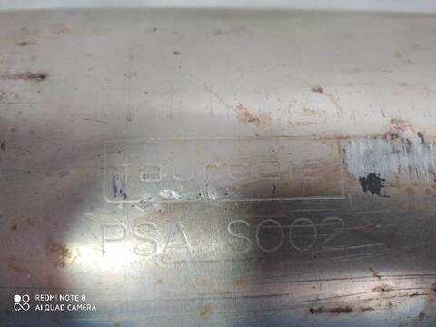 Foto 2ª: Filtro Particulas Citroen C4 G CACTUS FEEL [BH02] (2016)