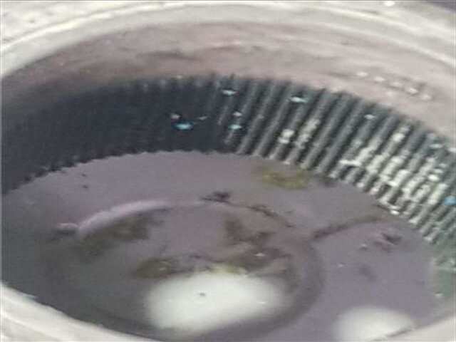 Foto 3ª: Volante Seat Leon 1.9 TDI [BKC]