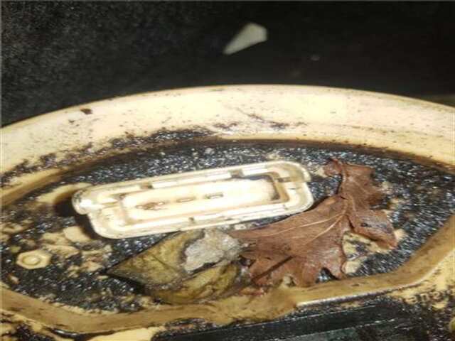 Foto 3ª: Aforador Peugeot 307 2.0 HDI 90 [RHY (DW10TD)]