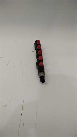 Rampa Inyectora Citroen Berlingo 1.6 HDI