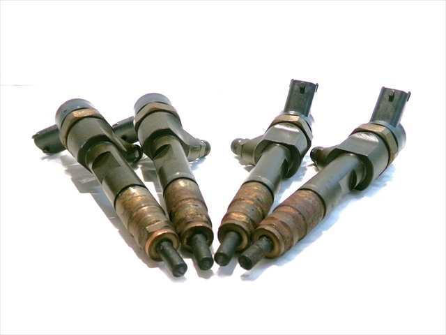 Foto 2ª: Inyectores Renault Scenic 1.9 DCI 2003-2009 [F9QD8] (2005)