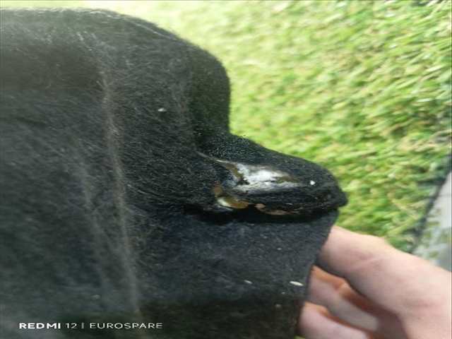 Foto 4ª: Bandeja Trasera Peugeot 207 1.3 G [KFT KF01] (2012)