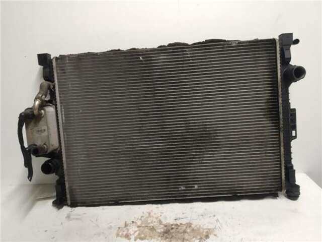 Radiador Motor Ford S Max 2.0 TREND [2.0 LTR. - 103 KW TDCI CAT] (CA1)(2006 _)