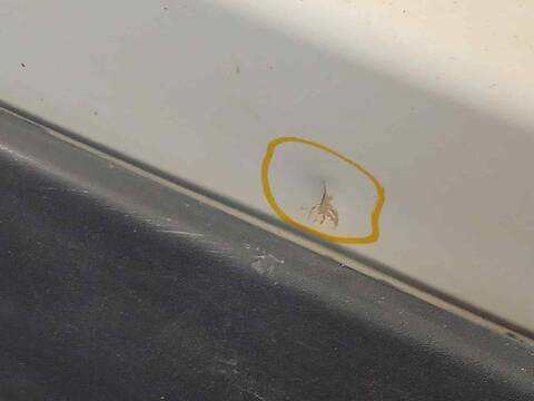 Foto 4ª: Puerta Trasera Izquierda Nissan Kubistar 1.5 DCI TD CAT 65CV 48KW [K9K704] (2004)