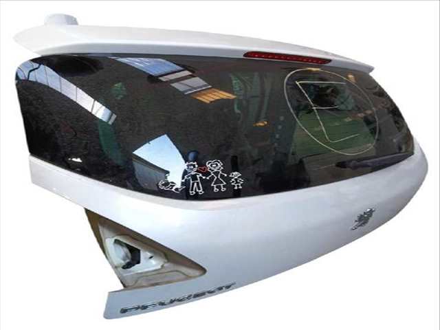 Foto 3ª: Portón Peugeot 3008 1.6 HDI 109CV (2009)